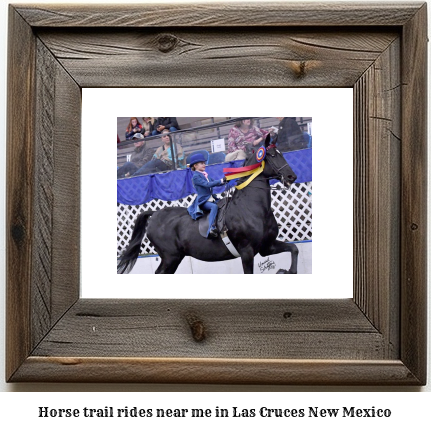 horse trail rides near me in Las Cruces, New Mexico